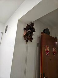 Blk 440A West Ridges @ Bukit Batok (Bukit Batok), HDB 2 Rooms #561817691